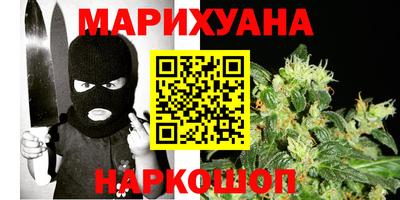 сатива Краснознаменск