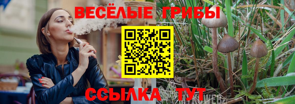 Псилоцибиновые грибы мицелий Унеча